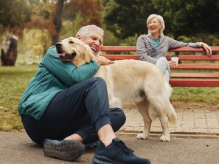 Estate Planning For Your Pet
